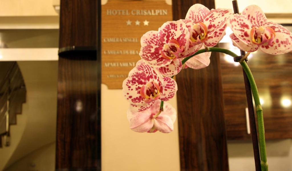 Hotel Crisalpin โปยานาบราซอฟ ภายนอก รูปภาพ